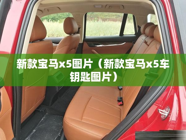 新款宝马x5图片(新款宝马x5车钥匙图片) 新款宝马x5图片(新款宝马x5车钥匙图片)