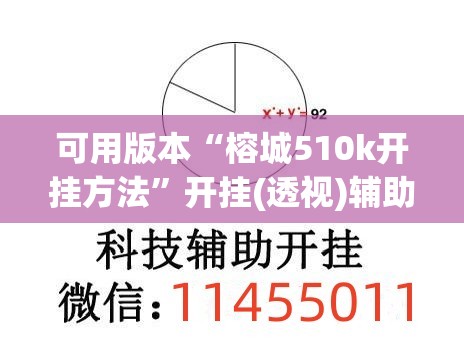 可用版本“榕城510k开挂方法”开挂(透视)辅助教程