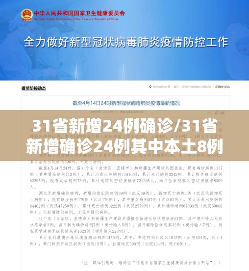 31省新增24例确诊/31省新增确诊24例其中本土8例 31省新增24例确诊/31省新增确诊24例其中本土8例
