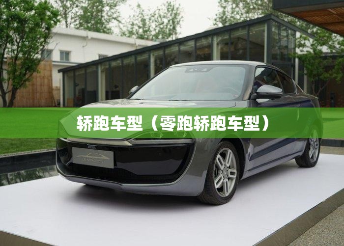 轿跑车型(零跑轿跑车型) 轿跑车型(零跑轿跑车型)