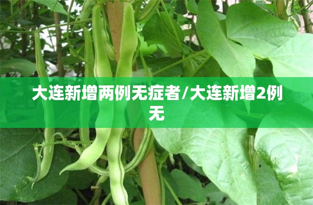 大连新增两例无症者/大连新增2例无 大连新增两例无症者/大连新增2例无