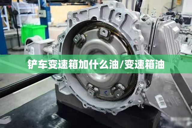 铲车变速箱加什么油/变速箱油 铲车变速箱加什么油/变速箱油