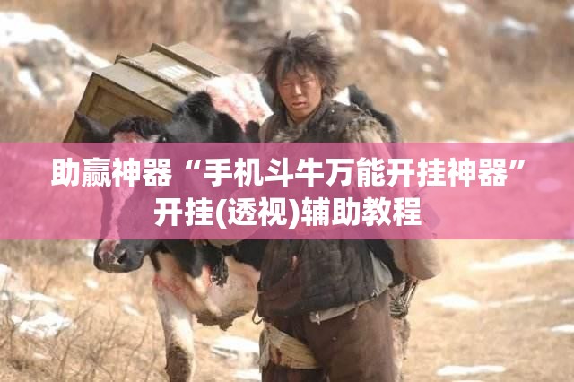 助赢神器“手机斗牛万能开挂神器	”开挂(透视)辅助教程