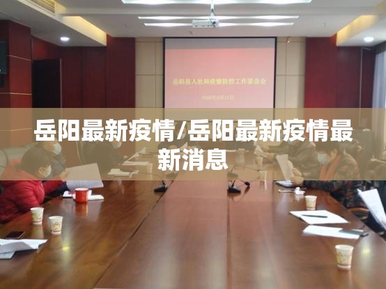 岳阳最新疫情/岳阳最新疫情最新消息
