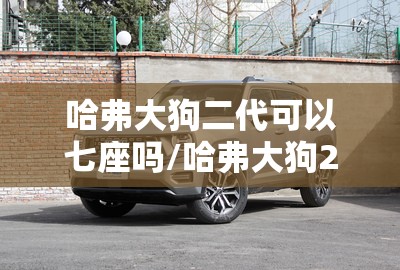 哈弗大狗二代可以七座吗/哈弗大狗20t限量吗