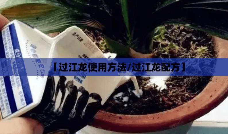 【过江龙使用方法/过江龙配方】 【过江龙使用方法/过江龙配方】