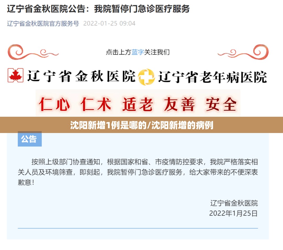 沈阳新增1例是哪的/沈阳新增的病例 沈阳新增1例是哪的/沈阳新增的病例