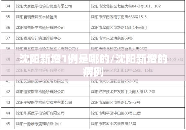 沈阳新增1例是哪的/沈阳新增的病例 沈阳新增1例是哪的/沈阳新增的病例