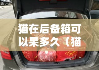 猫在后备箱可以呆多久(猫在后备箱放一个小时可以吗) 猫在后备箱可以呆多久(猫在后备箱放一个小时可以吗)