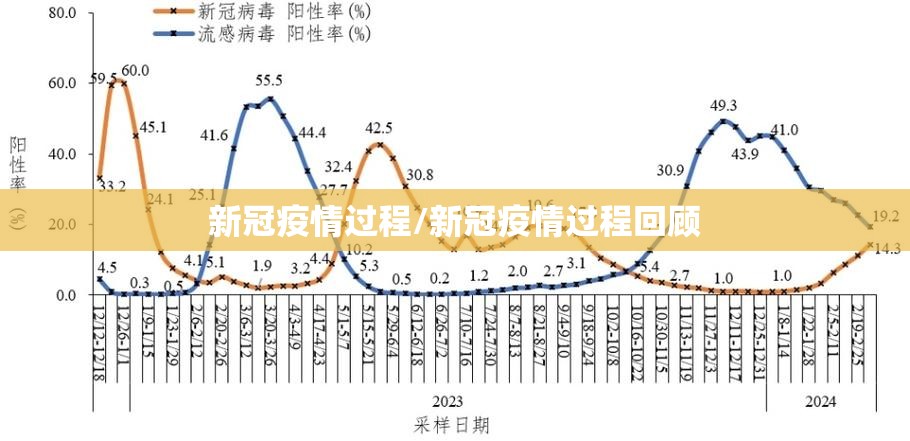 新冠疫情过程/新冠疫情过程回顾 新冠疫情过程/新冠疫情过程回顾