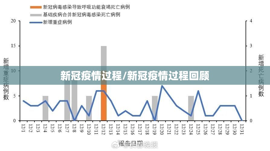 新冠疫情过程/新冠疫情过程回顾 新冠疫情过程/新冠疫情过程回顾