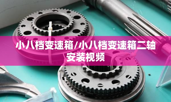 小八档变速箱/小八档变速箱二轴安装视频 小八档变速箱/小八档变速箱二轴安装视频