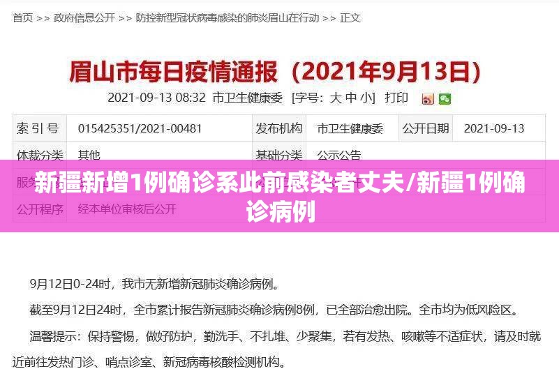 新疆新增1例确诊系此前感染者丈夫/新疆1例确诊病例 新疆新增1例确诊系此前感染者丈夫/新疆1例确诊病例
