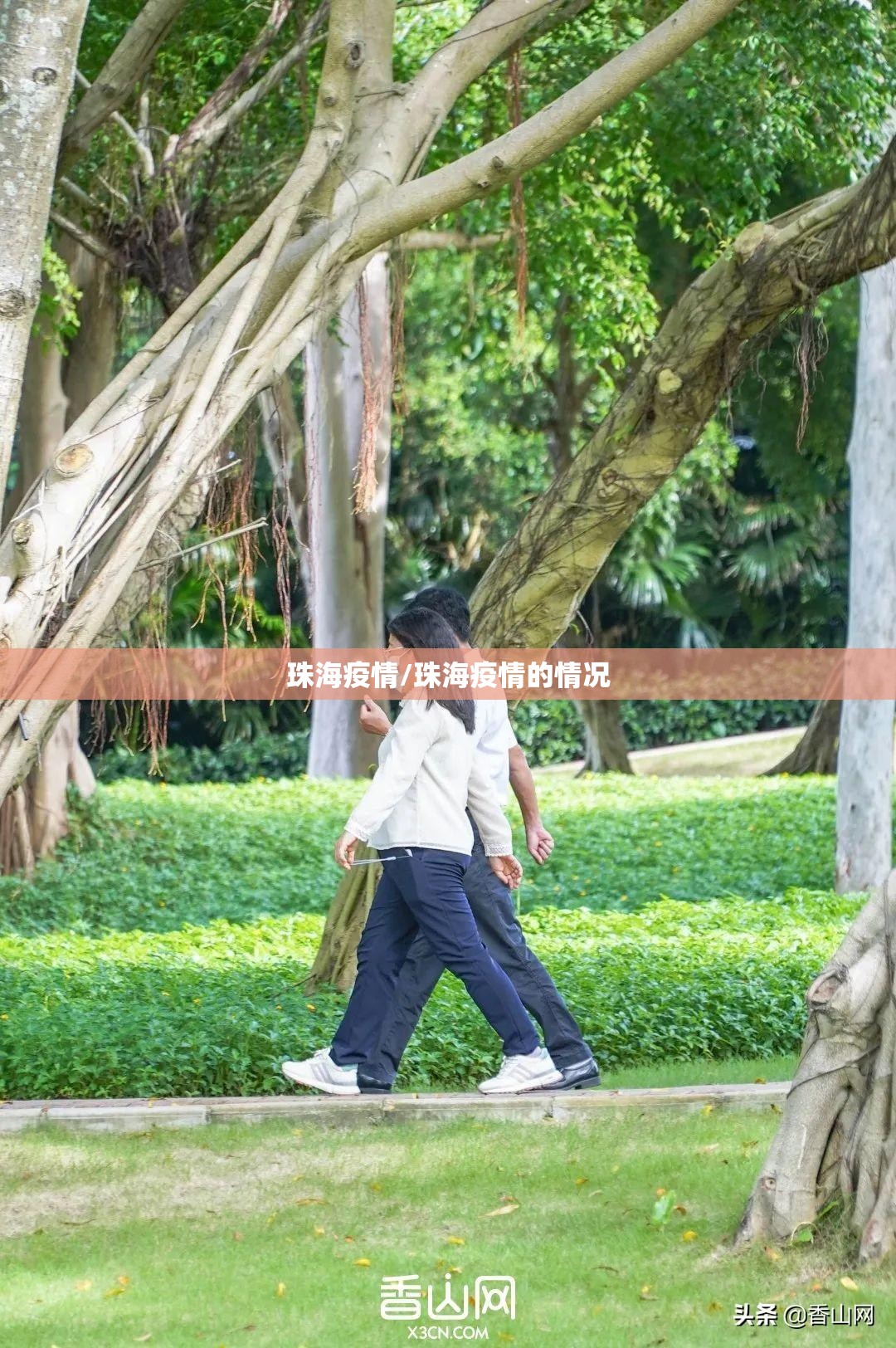 珠海疫情/珠海疫情的情况