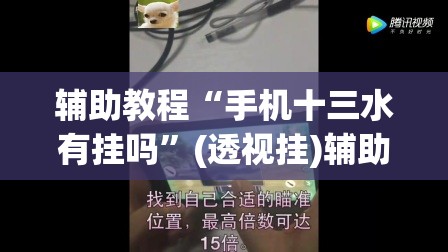 辅助教程“手机十三水有挂吗”(透视挂)辅助透视教程