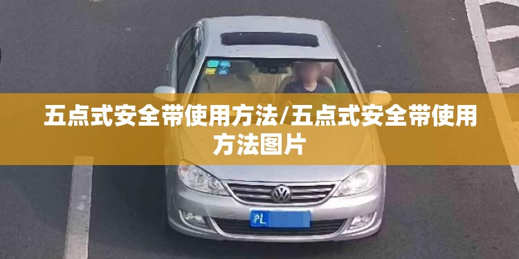 五点式安全带使用方法/五点式安全带使用方法图片 五点式安全带使用方法/五点式安全带使用方法图片