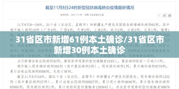 31省区市新增61例本土确诊/31省区市新增30例本土确诊 31省区市新增61例本土确诊/31省区市新增30例本土确诊