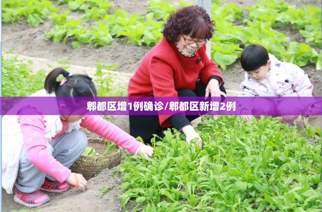 郫都区增1例确诊/郫都区新增2例