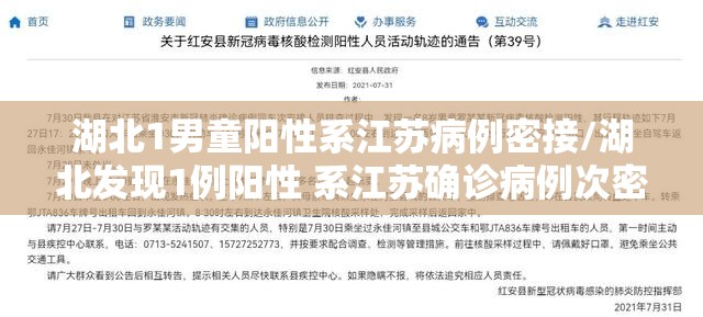 湖北1男童阳性系江苏病例密接/湖北发现1例阳性 系江苏确诊病例次密接者 湖北1男童阳性系江苏病例密接/湖北发现1例阳性 系江苏确诊病例次密接者