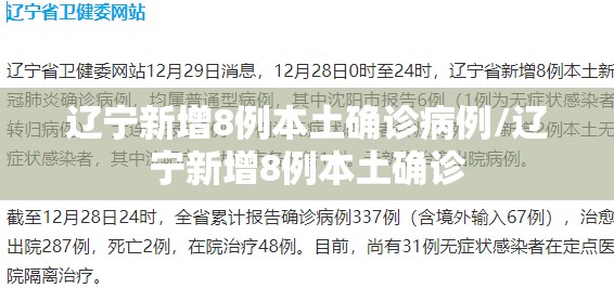 辽宁新增8例本土确诊病例/辽宁新增8例本土确诊