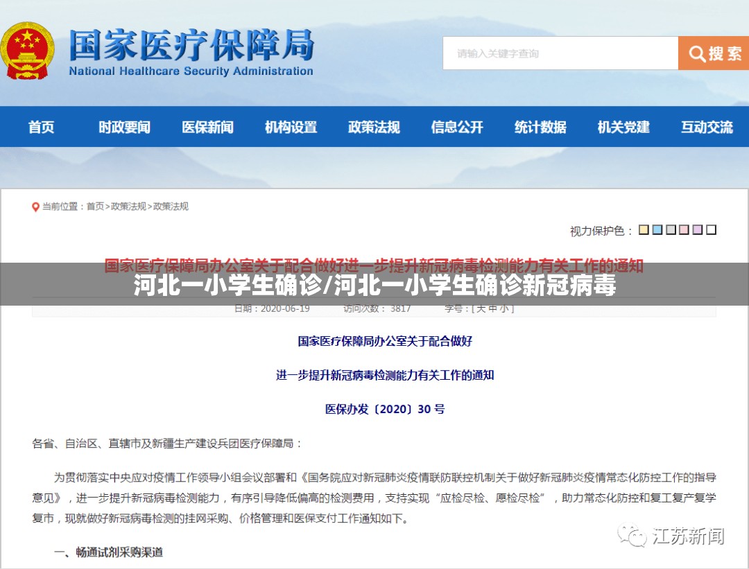 河北一小学生确诊/河北一小学生确诊新冠病毒 河北一小学生确诊/河北一小学生确诊新冠病毒