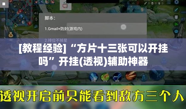[教程经验]“方片十三张可以开挂吗”开挂(透视)辅助神器