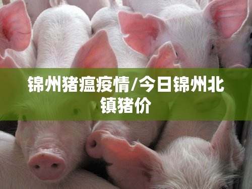 锦州猪瘟疫情/今日锦州北镇猪价