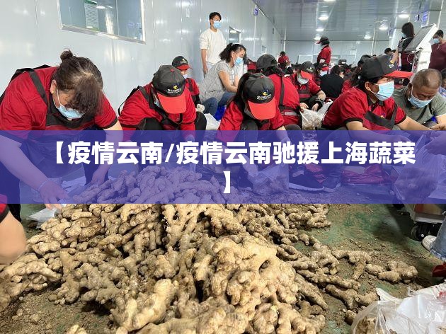 【疫情云南/疫情云南驰援上海蔬菜】 【疫情云南/疫情云南驰援上海蔬菜】