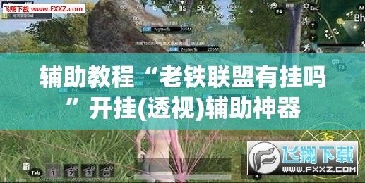 辅助教程“老铁联盟有挂吗”开挂(透视)辅助神器