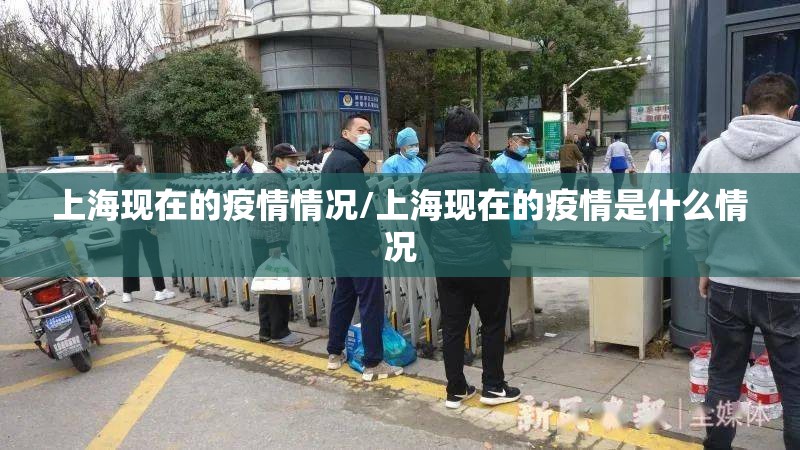 上海现在的疫情情况/上海现在的疫情是什么情况