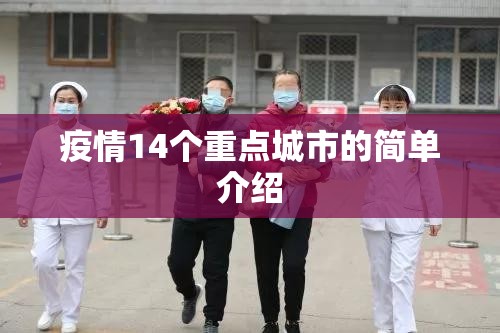 疫情14个重点城市的简单介绍