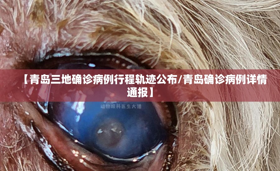 【青岛三地确诊病例行程轨迹公布/青岛确诊病例详情通报】 【青岛三地确诊病例行程轨迹公布/青岛确诊病例详情通报】