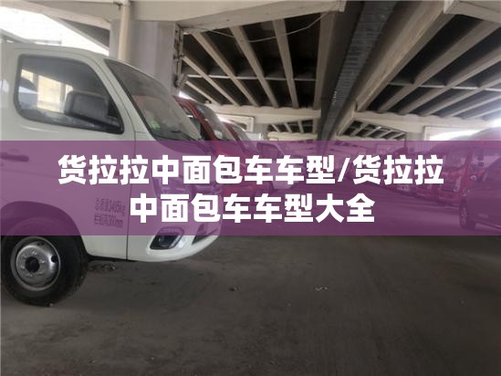 货拉拉中面包车车型/货拉拉中面包车车型大全