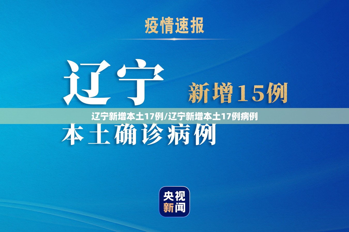 辽宁新增本土17例/辽宁新增本土17例病例 辽宁新增本土17例/辽宁新增本土17例病例