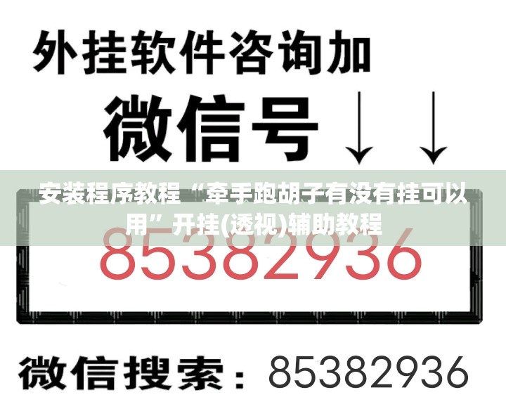 安装程序教程“牵手跑胡子有没有挂可以用	”开挂(透视)辅助教程