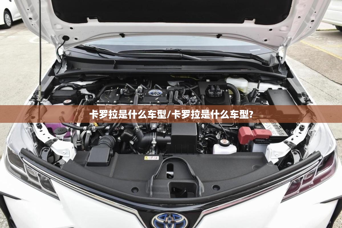卡罗拉是什么车型/卡罗拉是什么车型? 卡罗拉是什么车型/卡罗拉是什么车型?