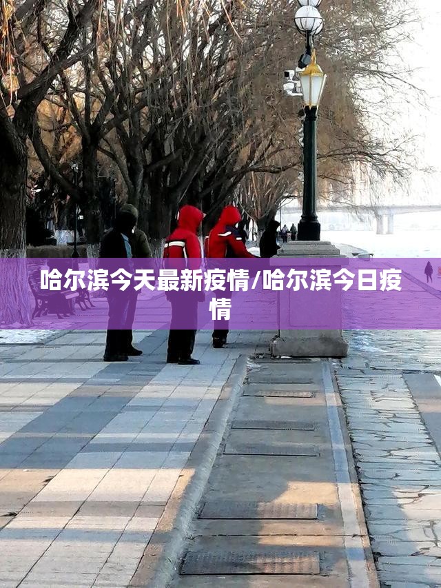 哈尔滨今天最新疫情/哈尔滨今日疫情 哈尔滨今天最新疫情/哈尔滨今日疫情