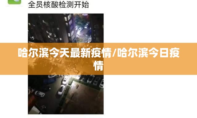 哈尔滨今天最新疫情/哈尔滨今日疫情 哈尔滨今天最新疫情/哈尔滨今日疫情