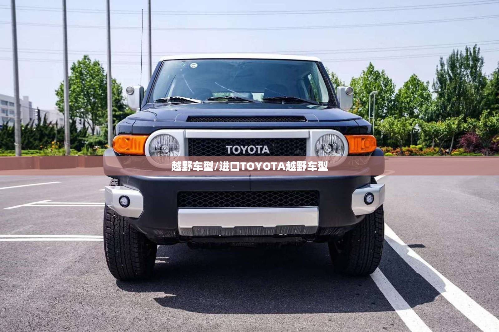 越野车型/进口TOYOTA越野车型 越野车型/进口TOYOTA越野车型