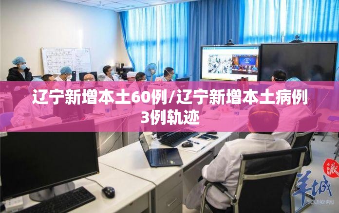 辽宁新增本土60例/辽宁新增本土病例3例轨迹