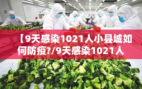 【9天感染1021人小县城如何防疫?/9天感染1021人小县城如何防疫】