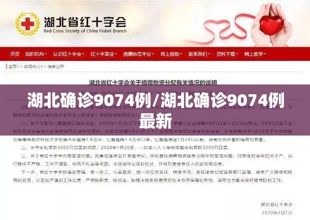 湖北确诊9074例/湖北确诊9074例最新