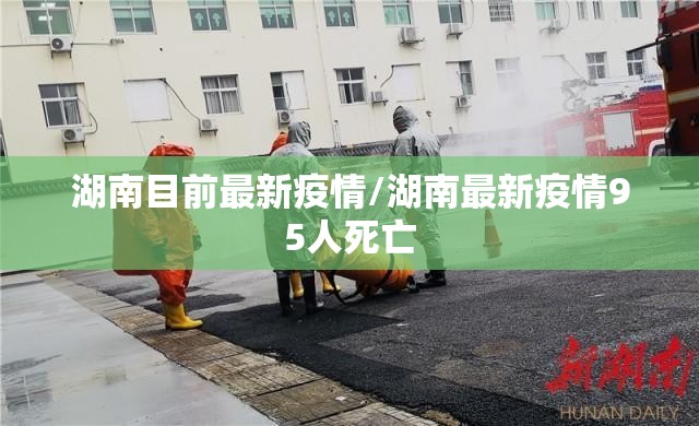 湖南目前最新疫情/湖南最新疫情95人死亡