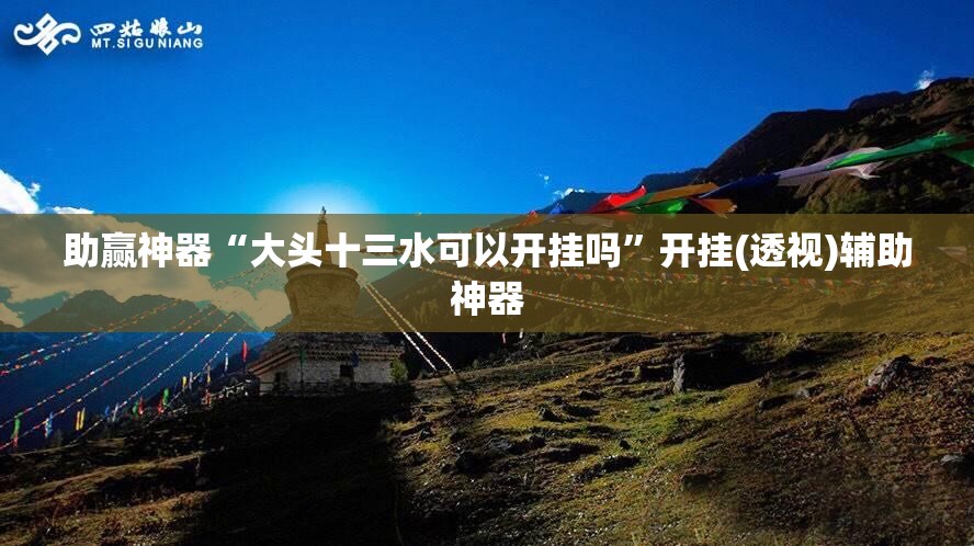 助赢神器“大头十三水可以开挂吗”开挂(透视)辅助神器