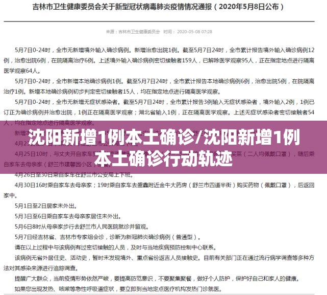 沈阳新增1例本土确诊/沈阳新增1例本土确诊行动轨迹