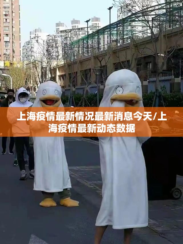 上海疫情最新情况最新消息今天/上海疫情最新动态数据
