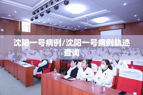 沈阳一号病例/沈阳一号病例轨迹查询