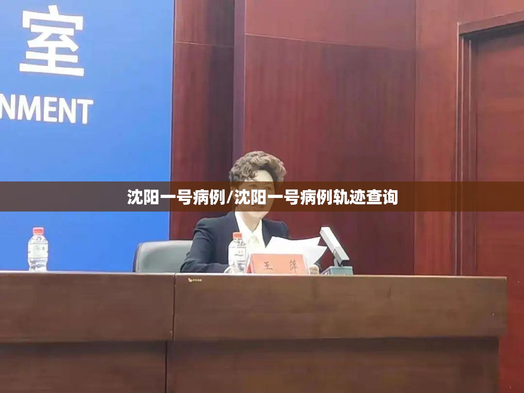 沈阳一号病例/沈阳一号病例轨迹查询
