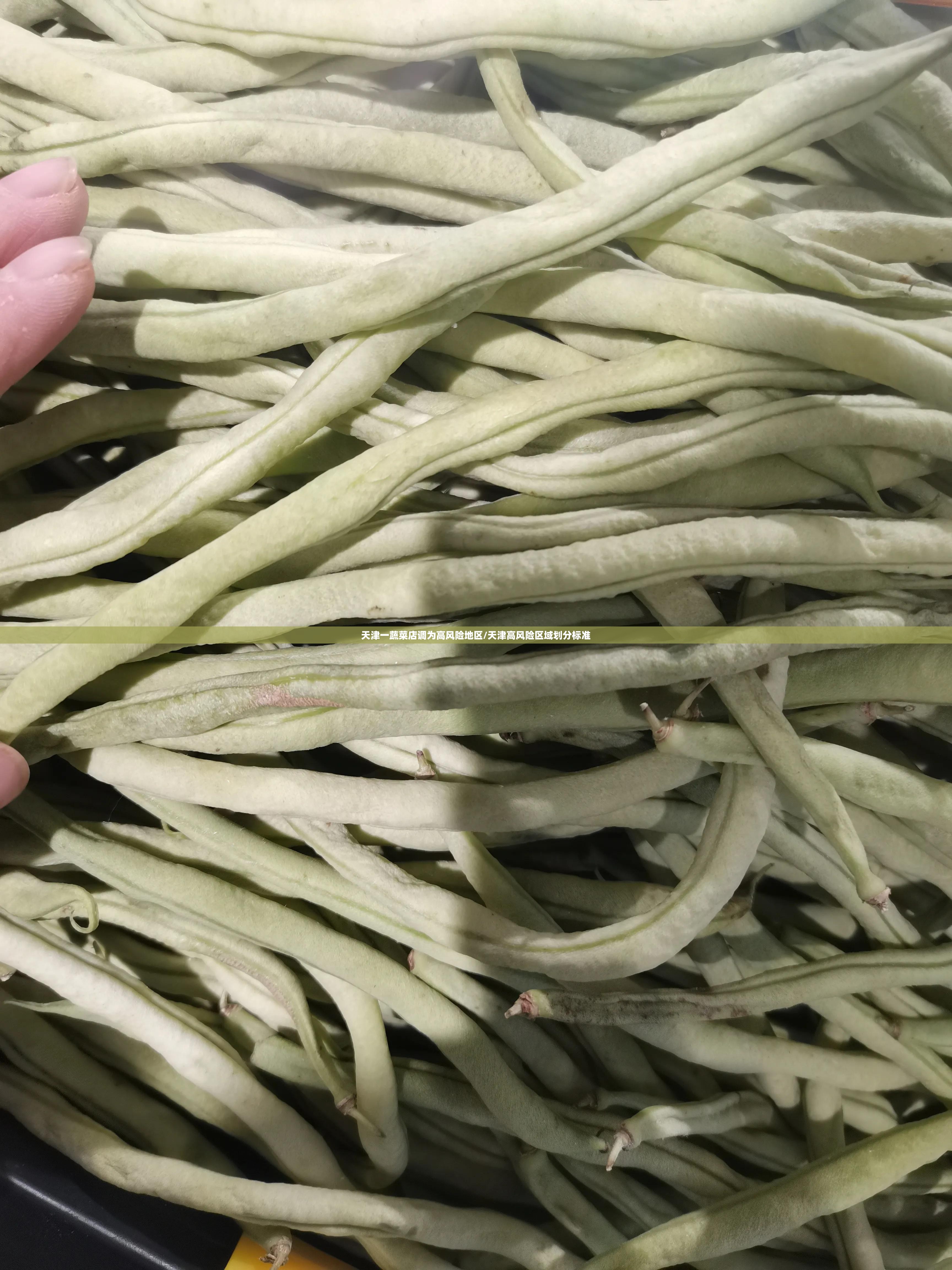天津一蔬菜店调为高风险地区/天津高风险区域划分标准