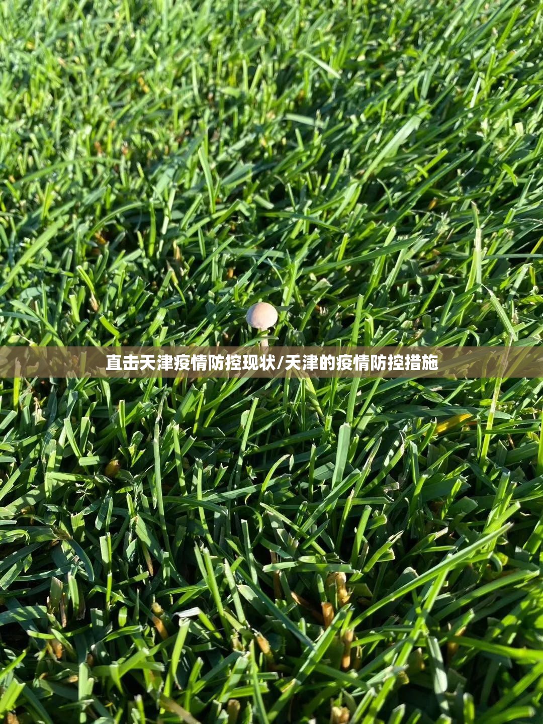 直击天津疫情防控现状/天津的疫情防控措施